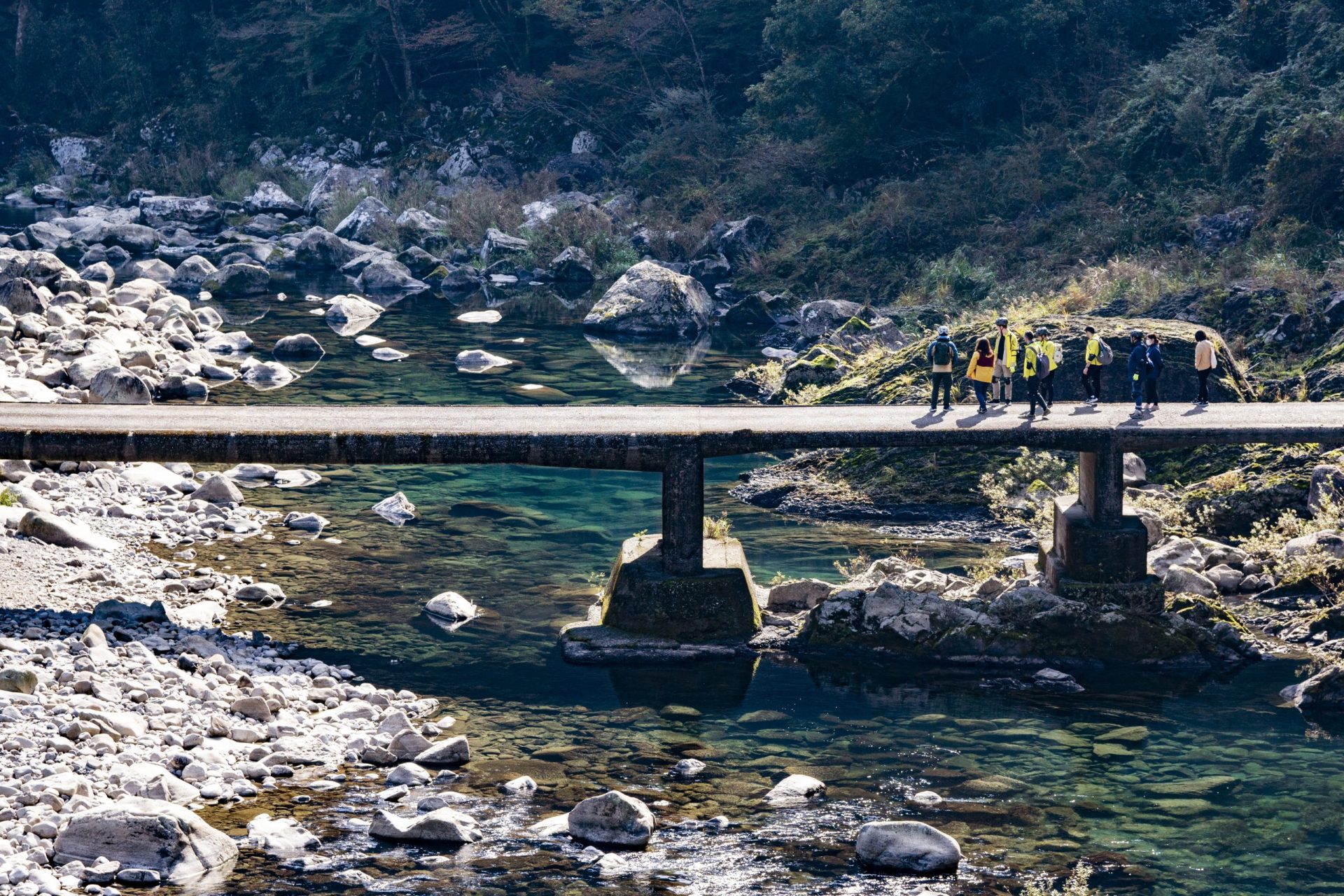 ゆずと森林鉄道の物語